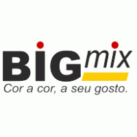 Bigmix Logo