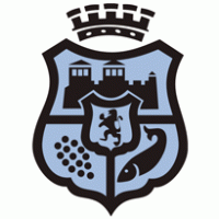Municipality Vidin Logo