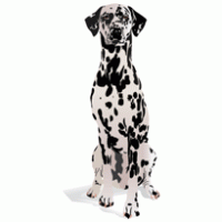dog Logo [ Download - Logo - icon ] png svg