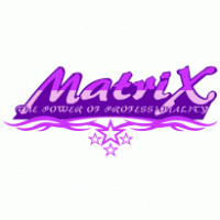 matrix group Logo