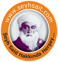 Seyhsait.com Logo ,Logo , icon , SVG Seyhsait.com Logo