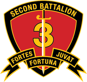 2nd Battalion 3rd Marine Regiment USMC Logo