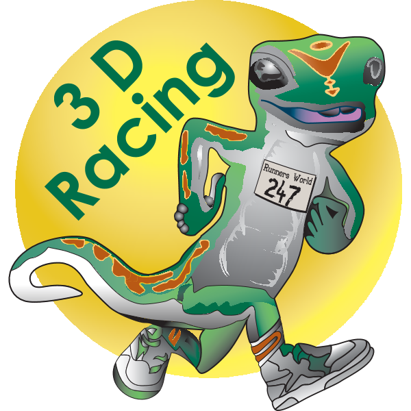 3D Racing Logo