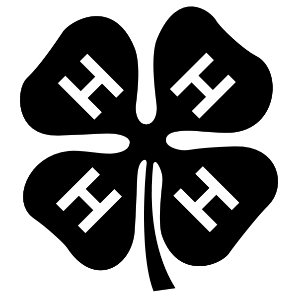 4 H ,Logo , icon , SVG 4 H