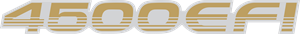 4500 EFI Logo