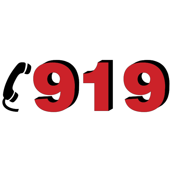 919 ,Logo , icon , SVG 919