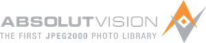 Absolut Vision Logo ,Logo , icon , SVG Absolut Vision Logo