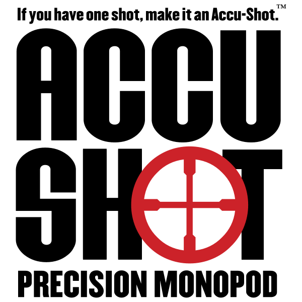 Accu Shot