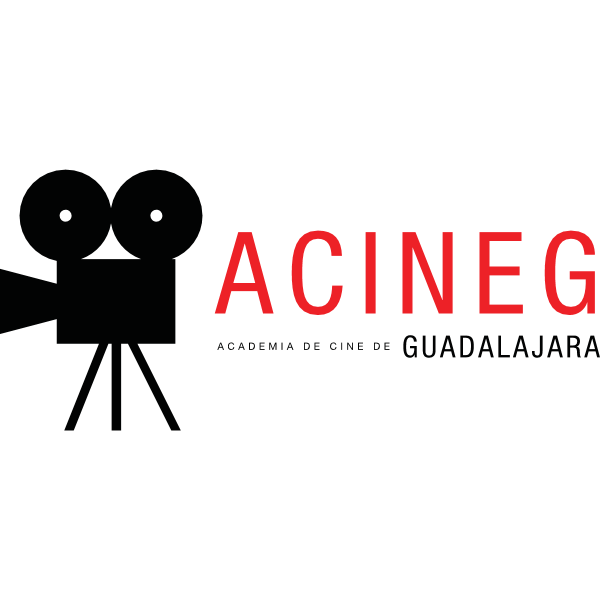 ACINEG Logo ,Logo , icon , SVG ACINEG Logo
