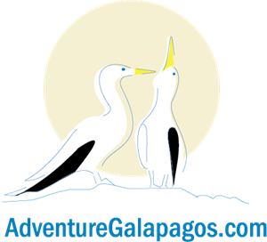 AdventureGalapagos.com Logo ,Logo , icon , SVG AdventureGalapagos.com Logo