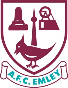 AFC Emley Logo ,Logo , icon , SVG AFC Emley Logo