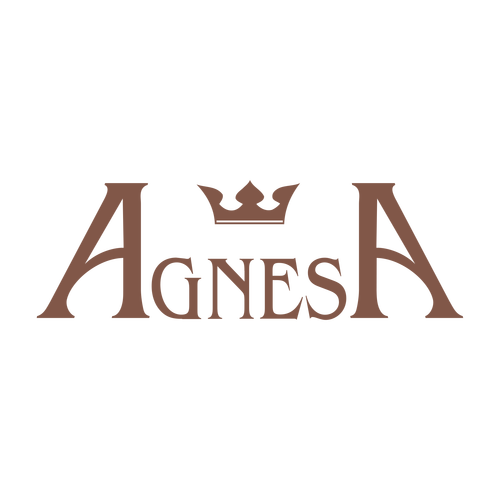 Agnesa ,Logo , icon , SVG Agnesa