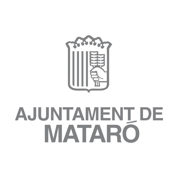 Ajuntament De Mataro 49720