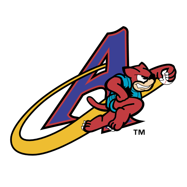 Akron Aeros 58213