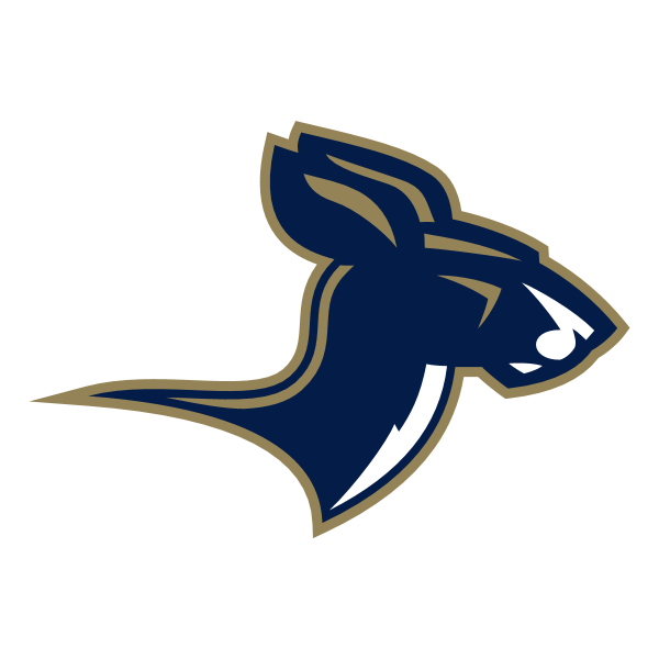 Akron Zips 76041