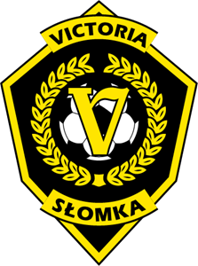 AKS Victoria Slomka Logo ,Logo , icon , SVG AKS Victoria Slomka Logo