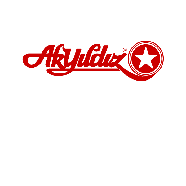 Akyıldız Logo