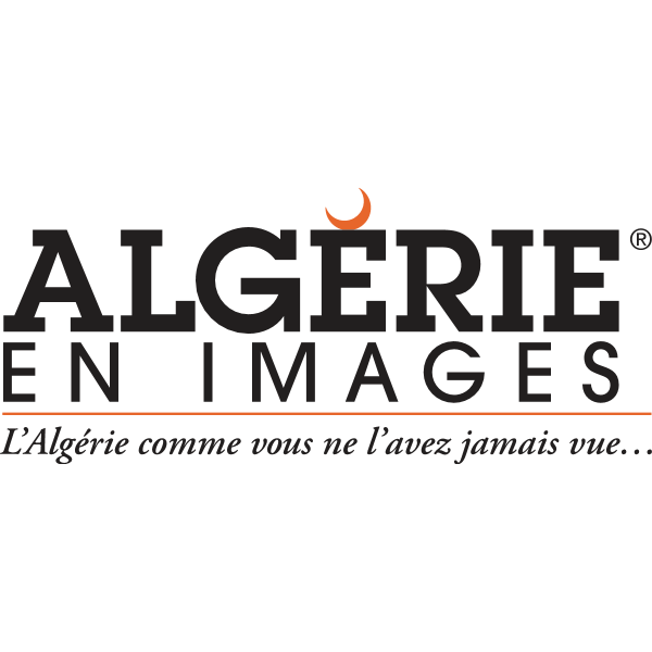 Algerie En Images Logo ,Logo , icon , SVG Algerie En Images Logo