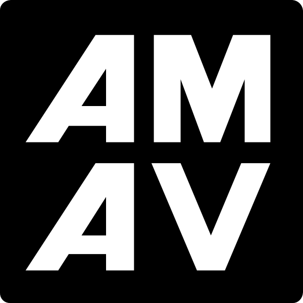 AMAV TOYS