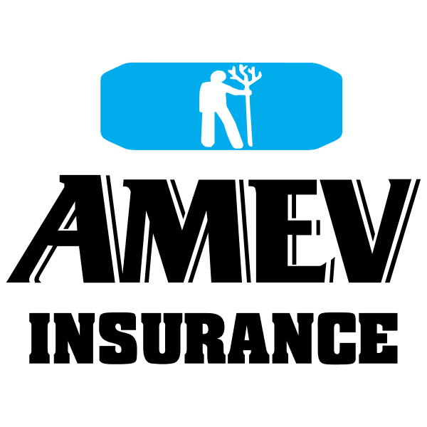 Amev Insurance 6118