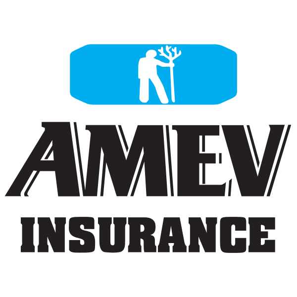 Amev Insurance Logo ,Logo , icon , SVG Amev Insurance Logo