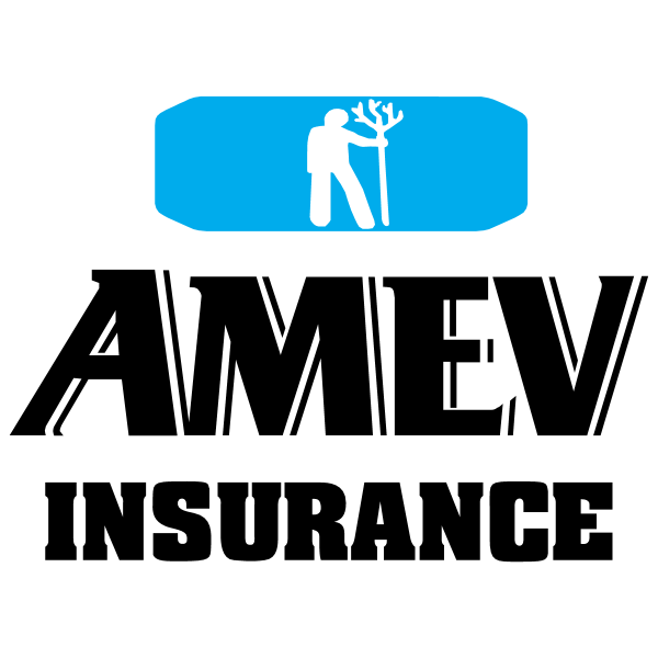 Amev Insurance