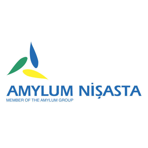 Amylum Nisasta