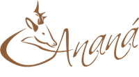 Anana Logo ,Logo , icon , SVG Anana Logo