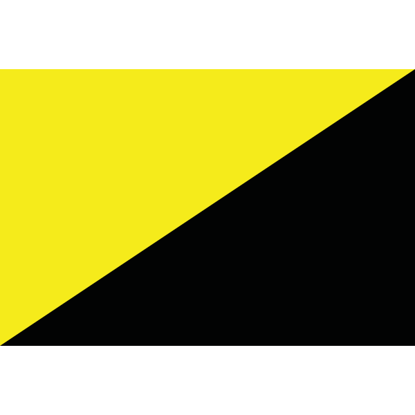 ANARCHO-CAPITALISM FLAG Logo