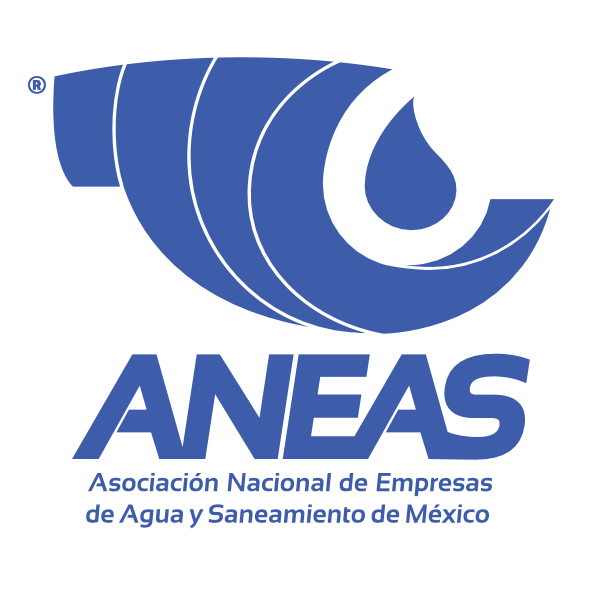 Aneas un Color Logo