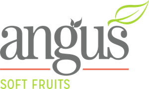Angus Soft Fruits Logo ,Logo , icon , SVG Angus Soft Fruits Logo