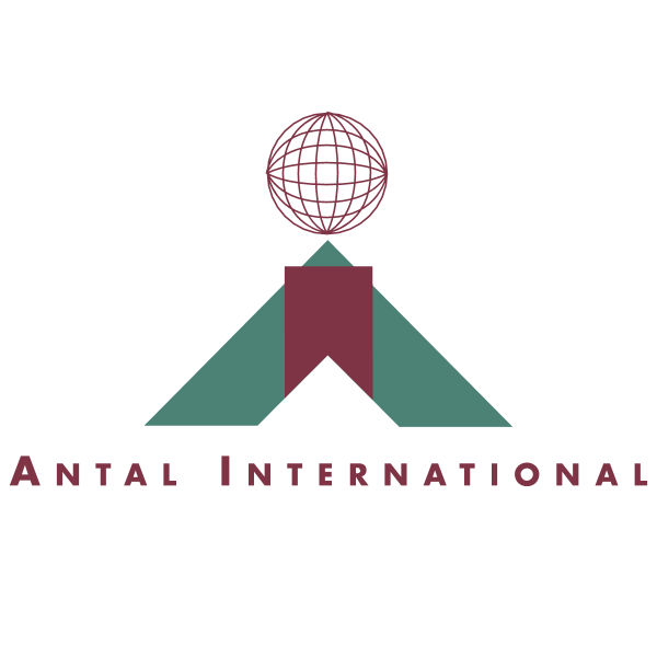 Antal International 29327