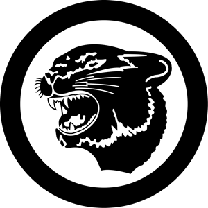 ARCTIC CAT Logo
