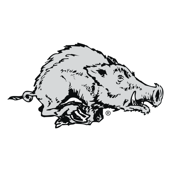 Arkansas Razorback