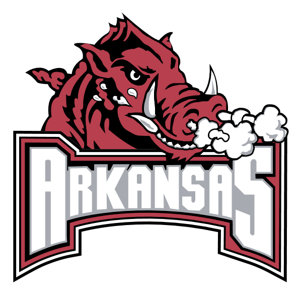 Arkansas Razorback 73905