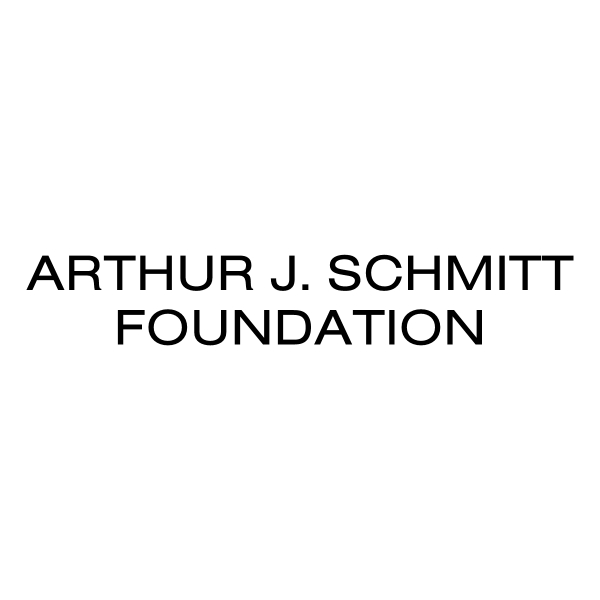 Arthur J Schmitt Foundation