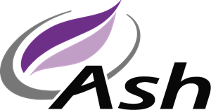 Ash Vision Logo