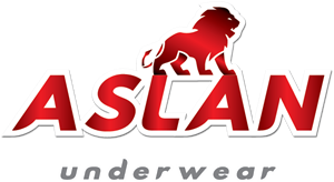 Aslan Logo Download Logo Icon Png Svg