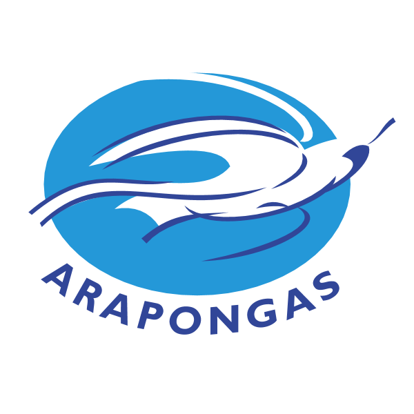 Associacao Atletica Arapongas de Arapongas PR 78013