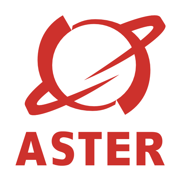 Aster 78358