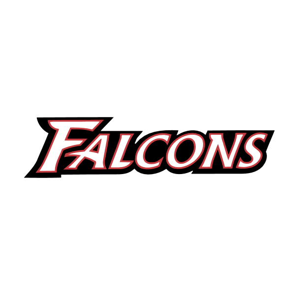 Atlanta Falcons 43080
