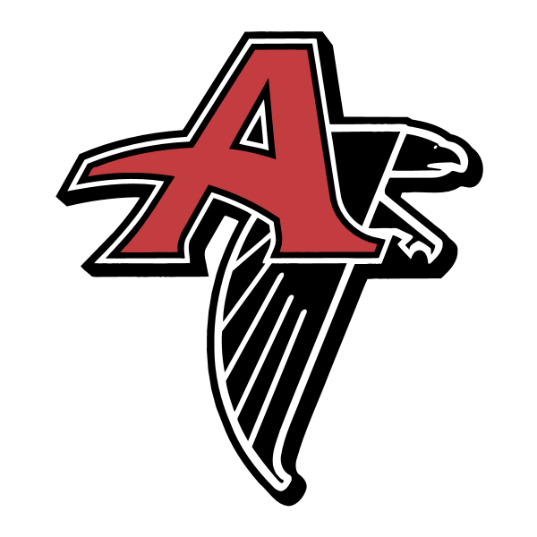 Atlanta Falcons 43081