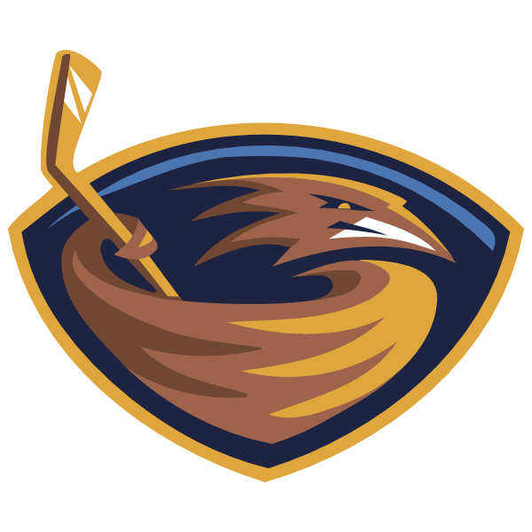 Atlanta Thrashers 20489