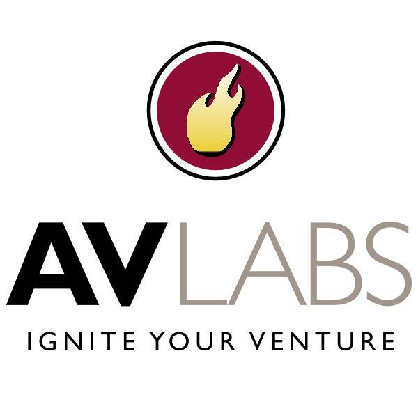 AV Labs 25338