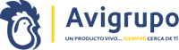 avigrupo Logo