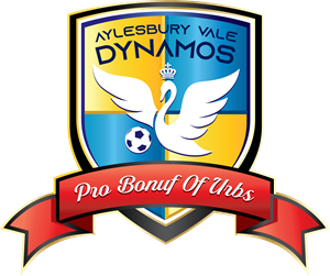 Aylesbury Vale Dynamos Logo