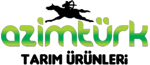 AzimTürk Logo