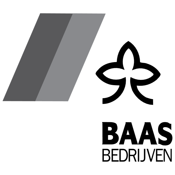 Baas Bedrijven 29300