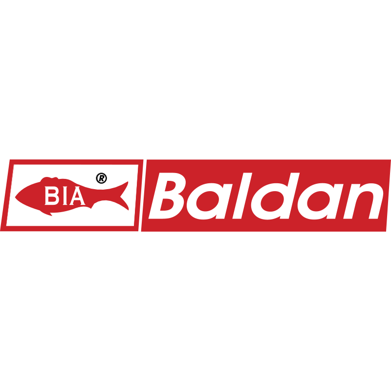 baldan ,Logo , icon , SVG baldan