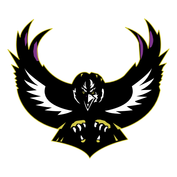 Baltimore Ravens 20493